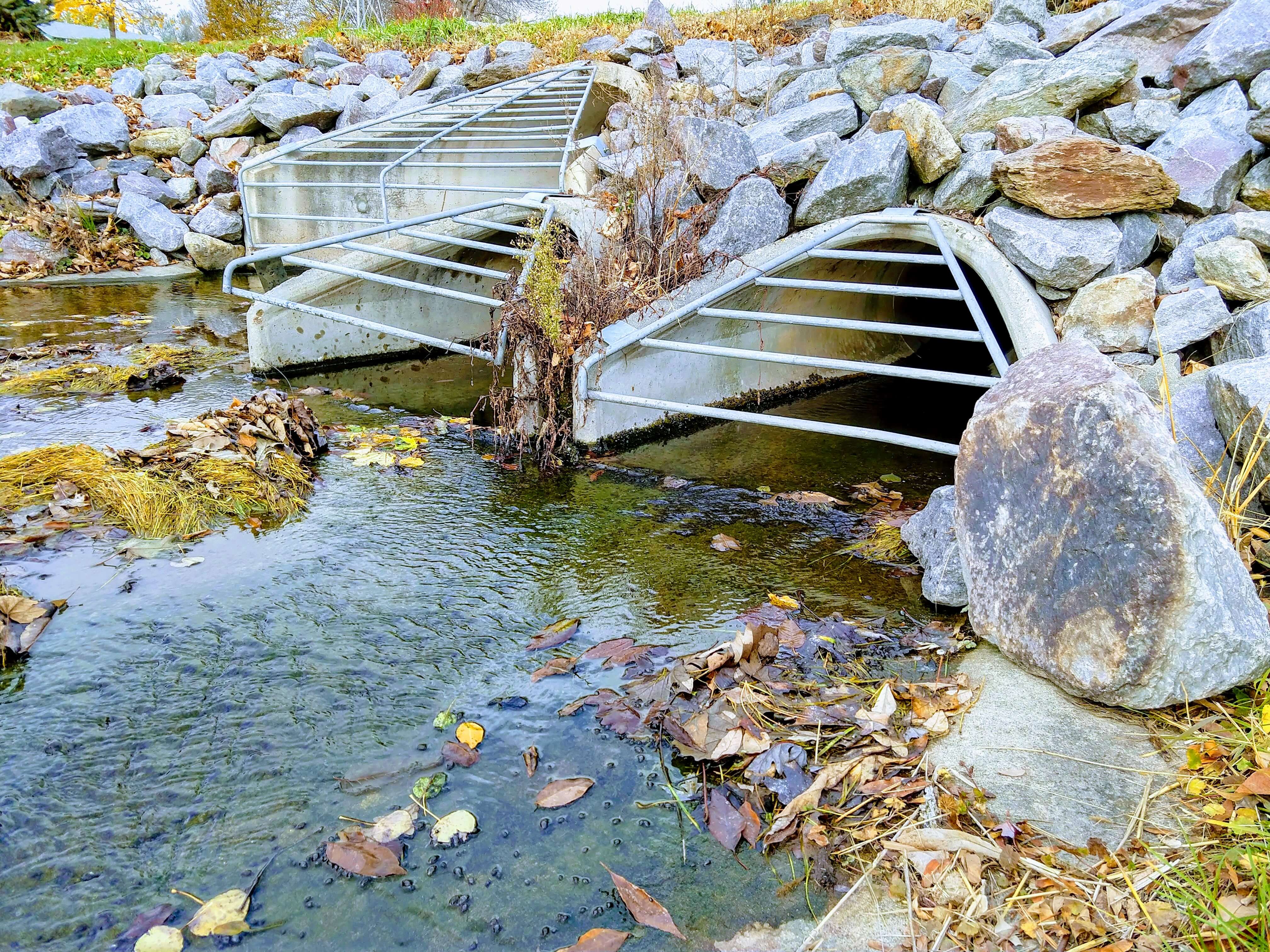 IMG_20181102_123444731_HDR-EFFECTS
